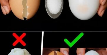 0f4f28fb a455 47c9 aa75 b04d3c4efefe