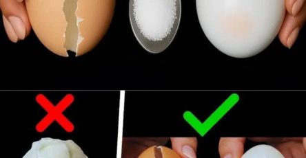 0f4f28fb a455 47c9 aa75 b04d3c4efefe