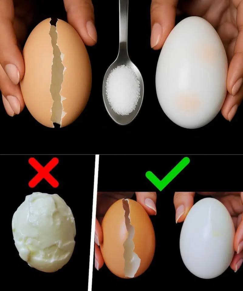 0f4f28fb a455 47c9 aa75 b04d3c4efefe