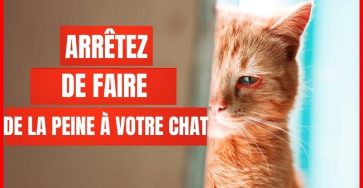 16 choses qui blesse