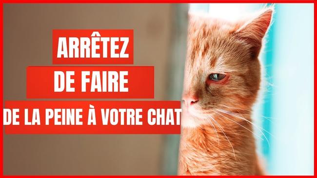 16 choses qui blesse