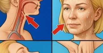 1956a277 f2c1 4aea 8875 92d8b38fc29e