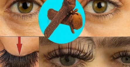 24b8d693 fedf 4fd3 96a8 7a547ab24030 1