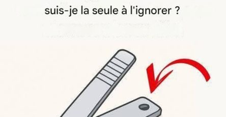 2744d7a0 0783 4c63 b493 9cee06e8e1c5