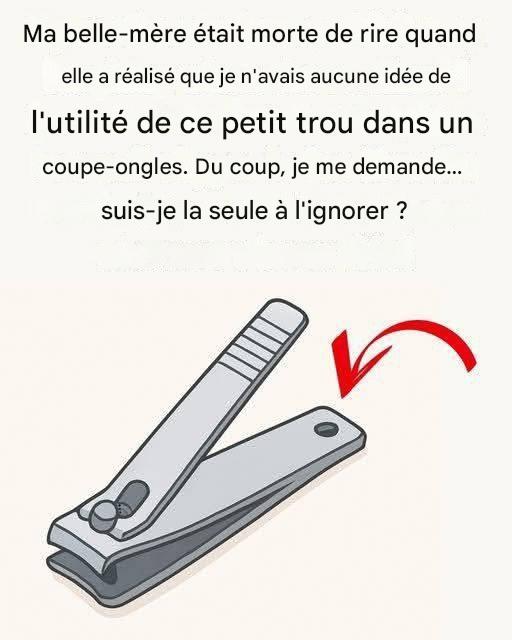 2744d7a0 0783 4c63 b493 9cee06e8e1c5