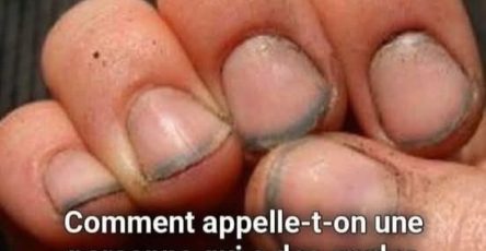 28c1003b f75a 4c66 b87d 8f6ec8b3cc12