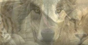 506214803 1128621729302401 1959404117168046257 n (2)