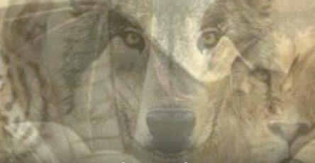 506214803 1128621729302401 1959404117168046257 n (2)