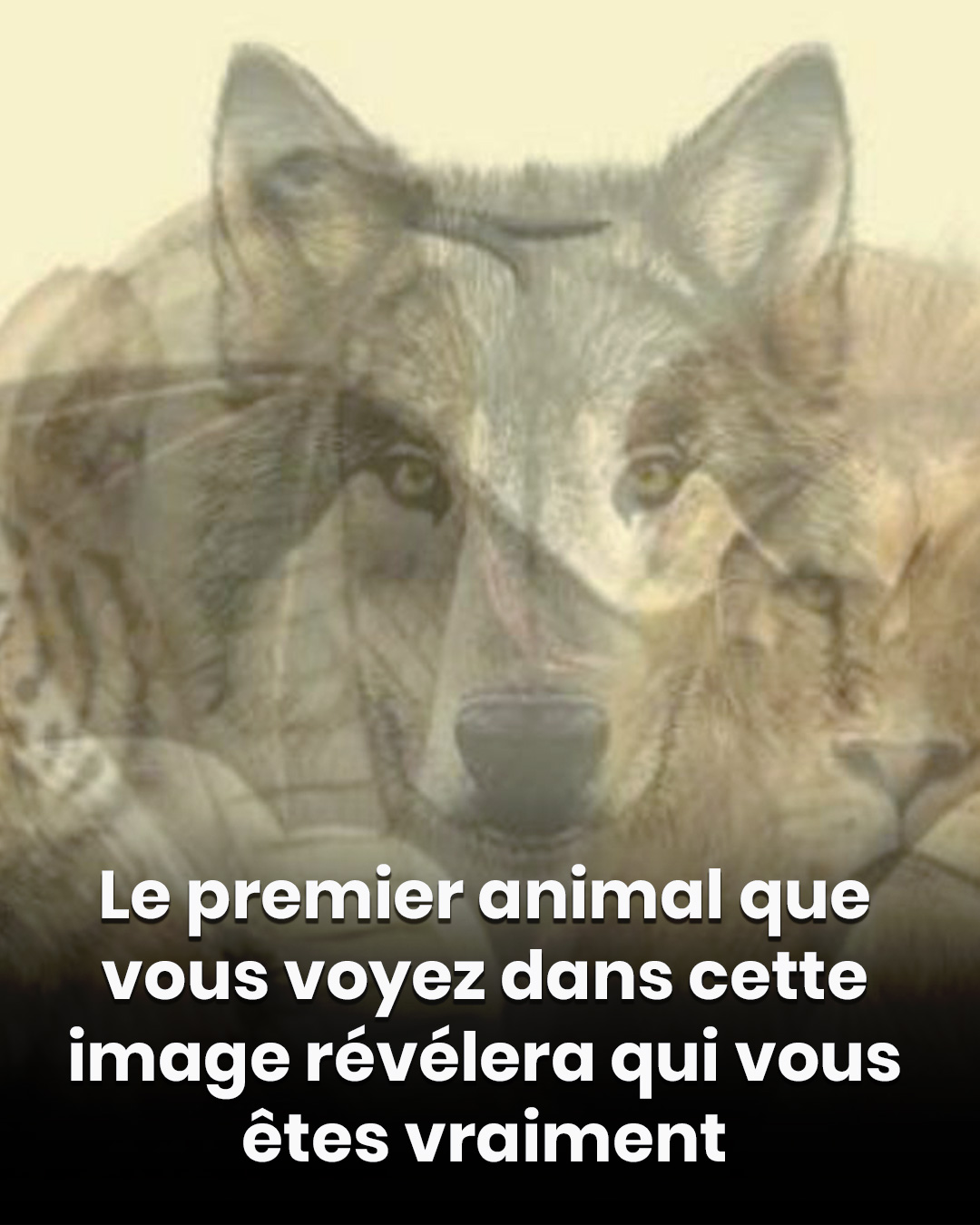 506214803 1128621729302401 1959404117168046257 n (2)