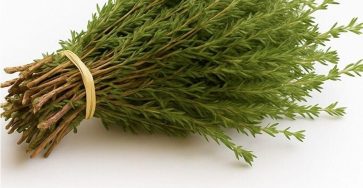 517243678 1591751348447980 8994444176123624430 n 1 1 1 768x960