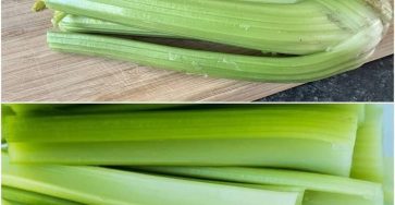 525171552 122116607396929893 3083024903925860955 n