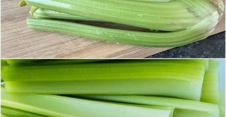 525171552 122116607396929893 3083024903925860955 n