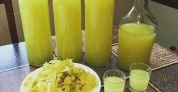 547260876 1985681588921512 854021060116175223 n 512x570 1 (1)