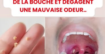 556794097 773670675579595 8460702260061304467 n