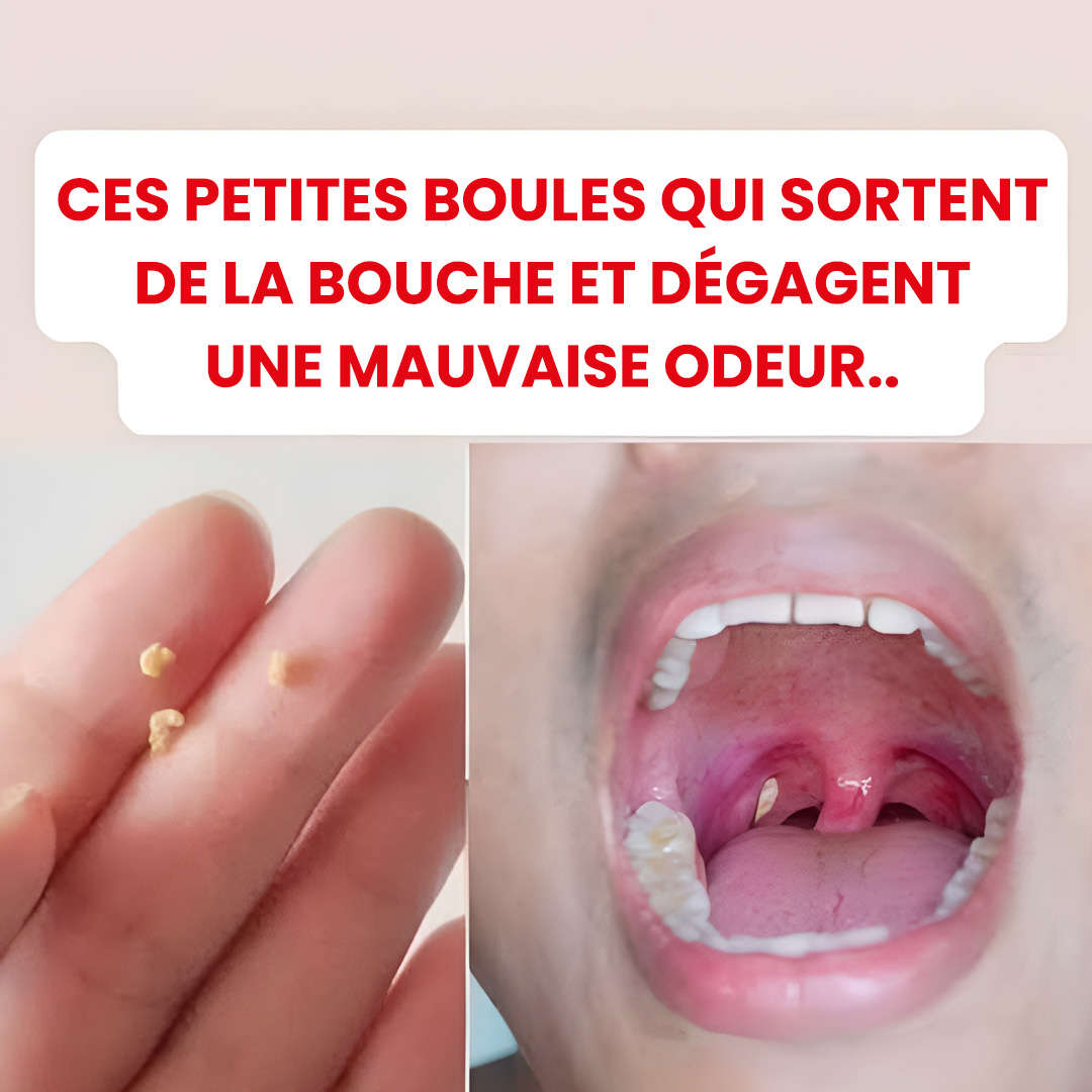 556794097 773670675579595 8460702260061304467 n