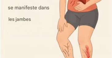 626386732 122163357386862001 2802314884251641952 n