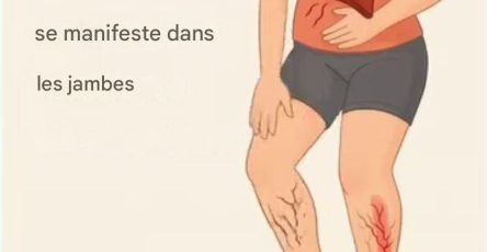 626386732 122163357386862001 2802314884251641952 n