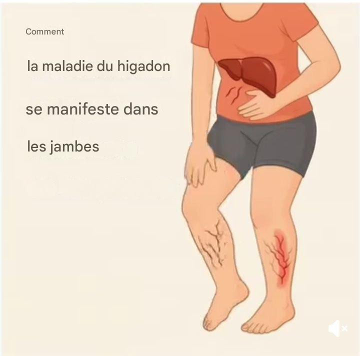 626386732 122163357386862001 2802314884251641952 n