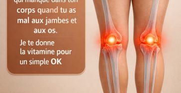 637915942 122113586865176057 5876244392092220116 n (1)