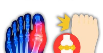 75ce1a06 4aab 40c2 b28c 652fc58781c1 1 (1)