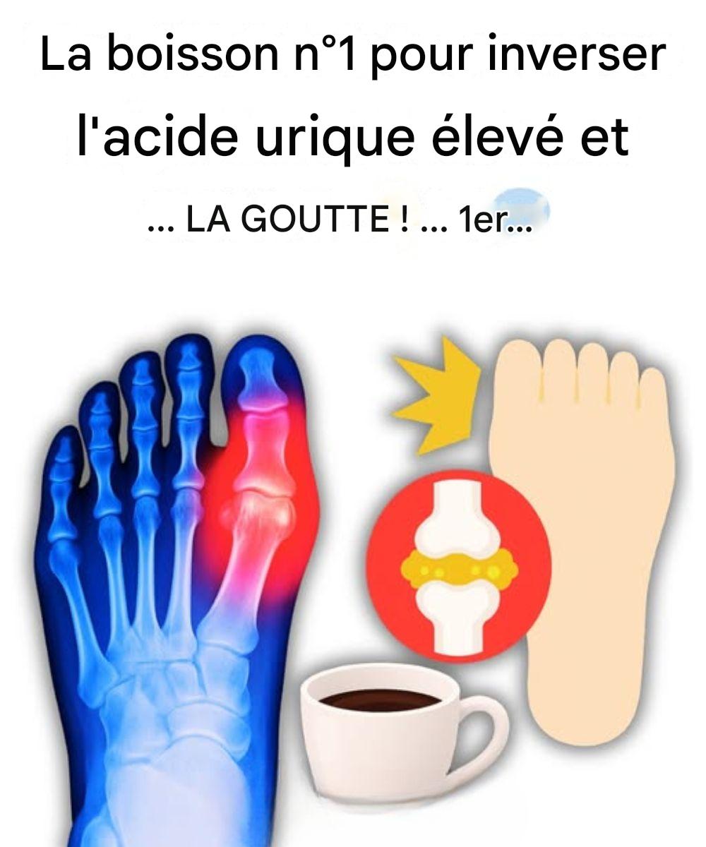 75ce1a06 4aab 40c2 b28c 652fc58781c1 1 (1)