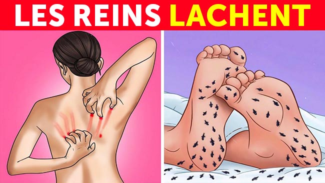 8 signes etranges2 650