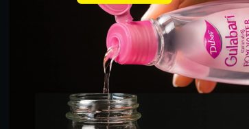 A1fb0050 239b 4c3a 98a5 776a266bc0fb