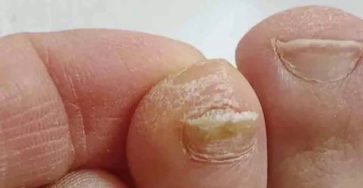 A998808a c96f 469e b269 845b7cf84307 (2)