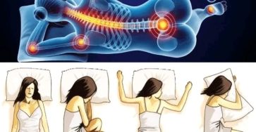 E555d5e7 febe 4e7a 9d01 5a50460313a5 1 (2)