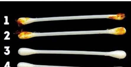 F61ab82c 0d9f 4ffb a70d 648635a56015