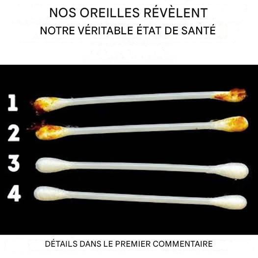 F61ab82c 0d9f 4ffb a70d 648635a56015