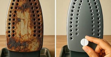 07536c30 31ce 4d53 8fb1 b3d2b09c9b4d