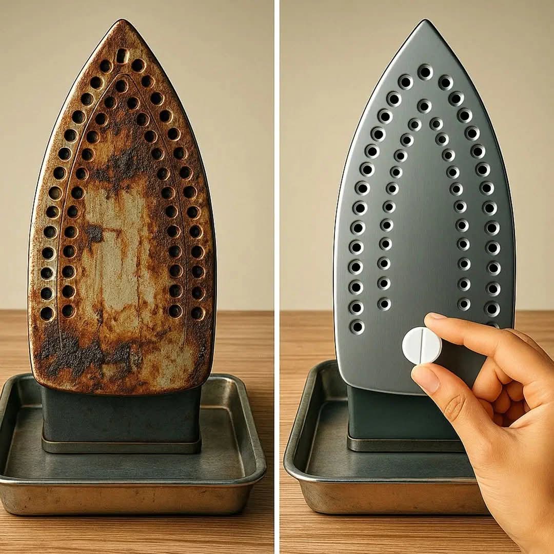 07536c30 31ce 4d53 8fb1 b3d2b09c9b4d