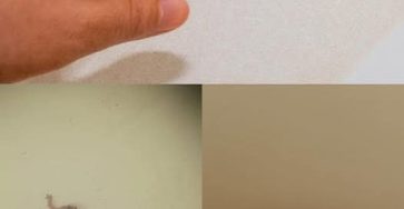 12d18229 d496 4fbd 992d df531fc9809d