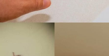 12d18229 d496 4fbd 992d df531fc9809d