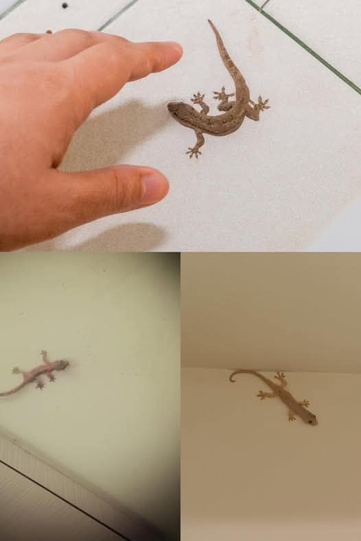 12d18229 d496 4fbd 992d df531fc9809d