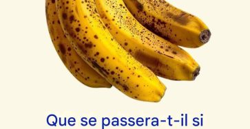 1b053a6c 7677 44db 9994 e211a63e9325