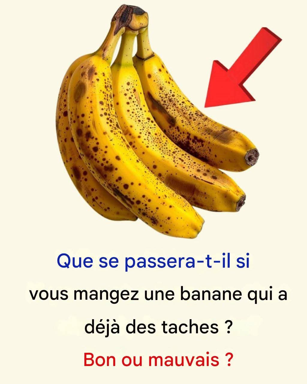 1b053a6c 7677 44db 9994 e211a63e9325