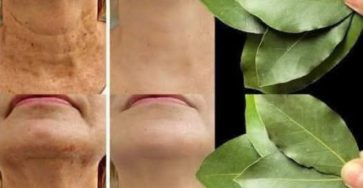 1f81aea36b4f043ad7 copy 758x416 6 1 taha 2 taha taha 2 185 1 105