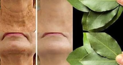 1f81aea36b4f043ad7 copy 758x416 6 1 taha 2 taha taha 2 185 1 105