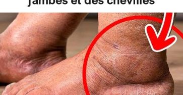 1f81aea36b4f043ad7 copy 758x416 6 1 taha 2 taha taha 2 185 1