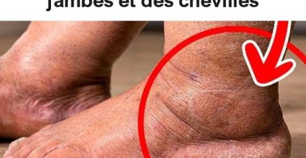 1f81aea36b4f043ad7 copy 758x416 6 1 taha 2 taha taha 2 185 1