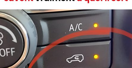 1f81aea36b4f043ad7 copy 758x416 6 1 taha 2 taha taha 2 185 1