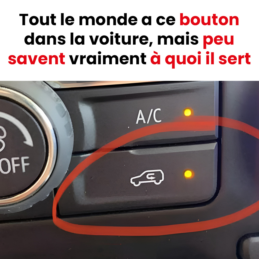 1f81aea36b4f043ad7 copy 758x416 6 1 taha 2 taha taha 2 185 1