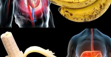 224dcf47 123a 4a12 a7ab c3beaefb84a2