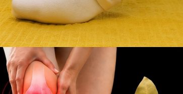 2ad0fbaf 6f04 4482 9549 f40c0772803b