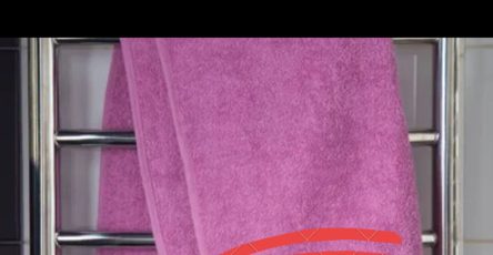 397344432 373043468395582 5616491492331476753 n