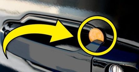 457508748 122180949716198871 8736522578164278891 n e1770145103692