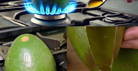 464429446 1776328153169229 5049984439097355489 n