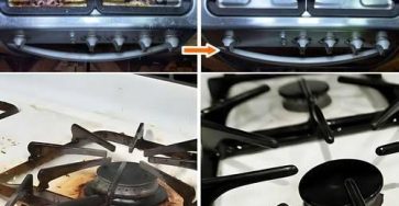 483700006 122144792372493940 493064219895389360 n